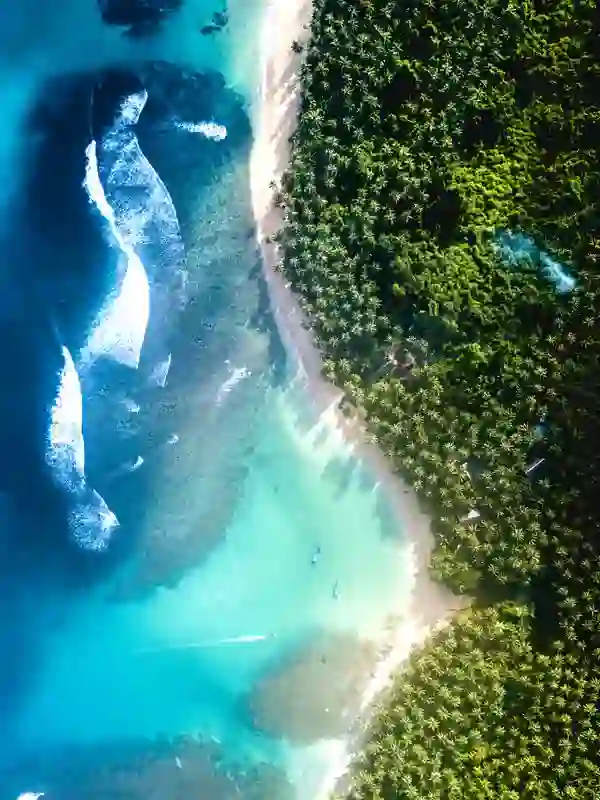 Island Shoreline